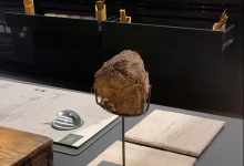 人均4000元花钱吃“象屎”? 上海一生态融合餐厅食物抽象到怀疑人生-Newiing 昕尚界