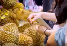 让跨国供应链变共“赢”链——一颗榴莲的“甜蜜”之旅-Newiing 昕尚界