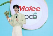 携手代言人张凌赫,Malee COCO以 “美不费力”理念持续拓展健康生活新可能-Newiing 昕尚界