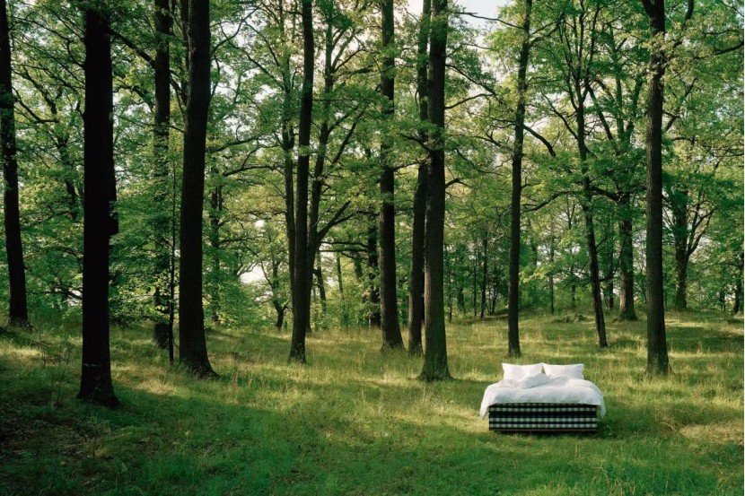 以百年匠心对话中国，用天然睡眠哲学定义长期价值