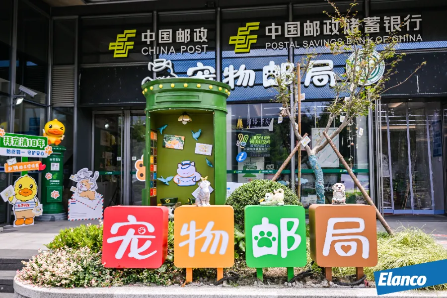 礼蓝动保携手千宠万爱、宠物邮局共助宠物行业生态健康发展-Newiing 昕尚界